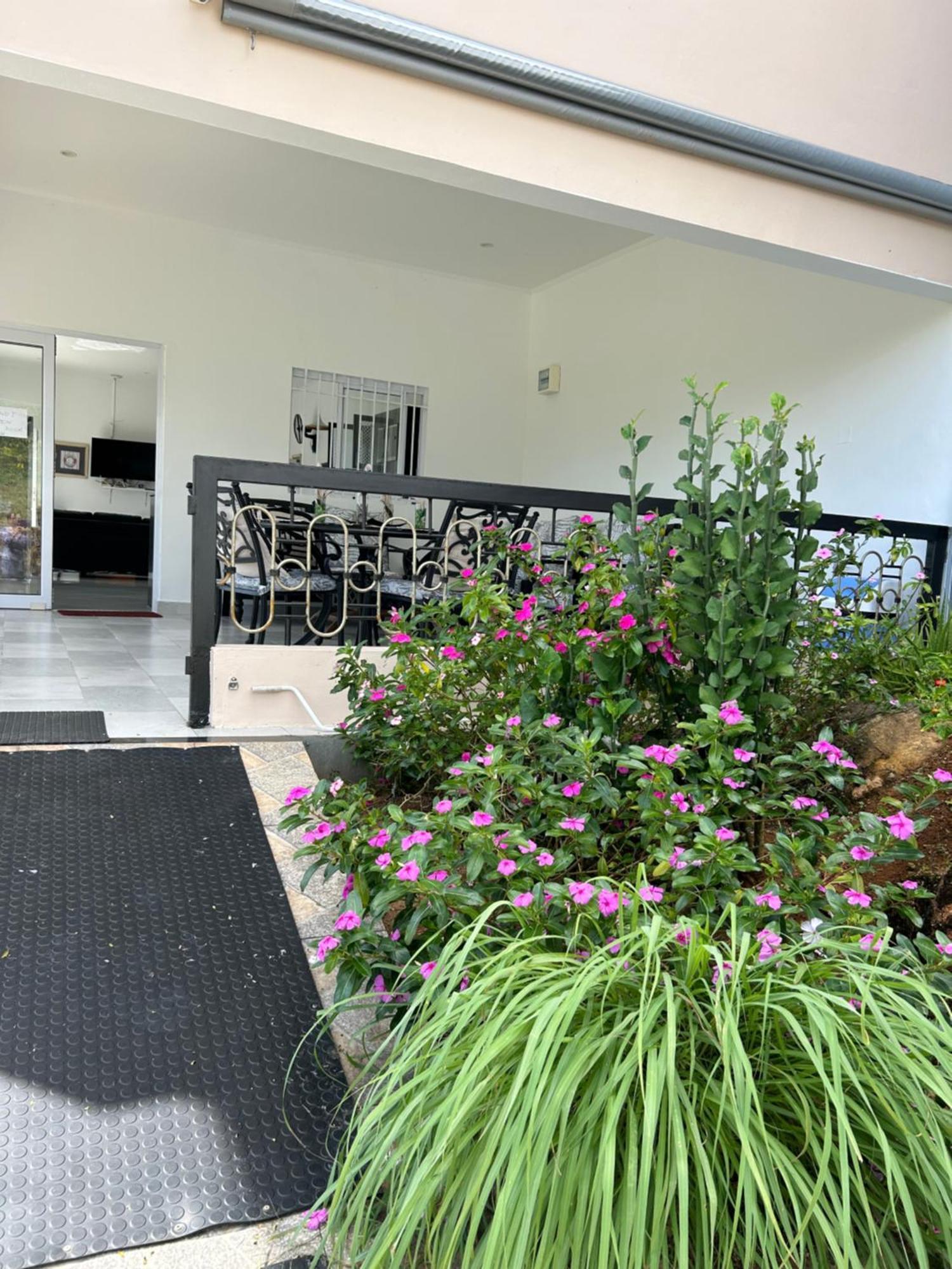 The Olive Tree Apartman Misere Kültér fotó
